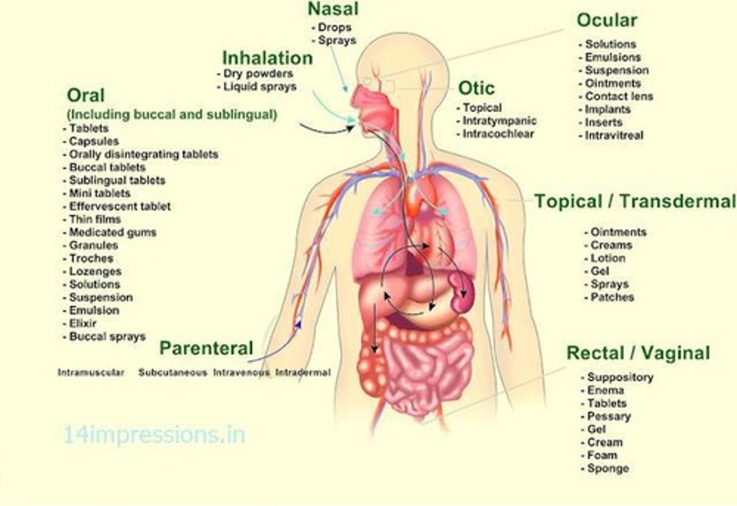 <p>Different methods by which drugs can be delivered into the body, each with distinct characteristics.</p>