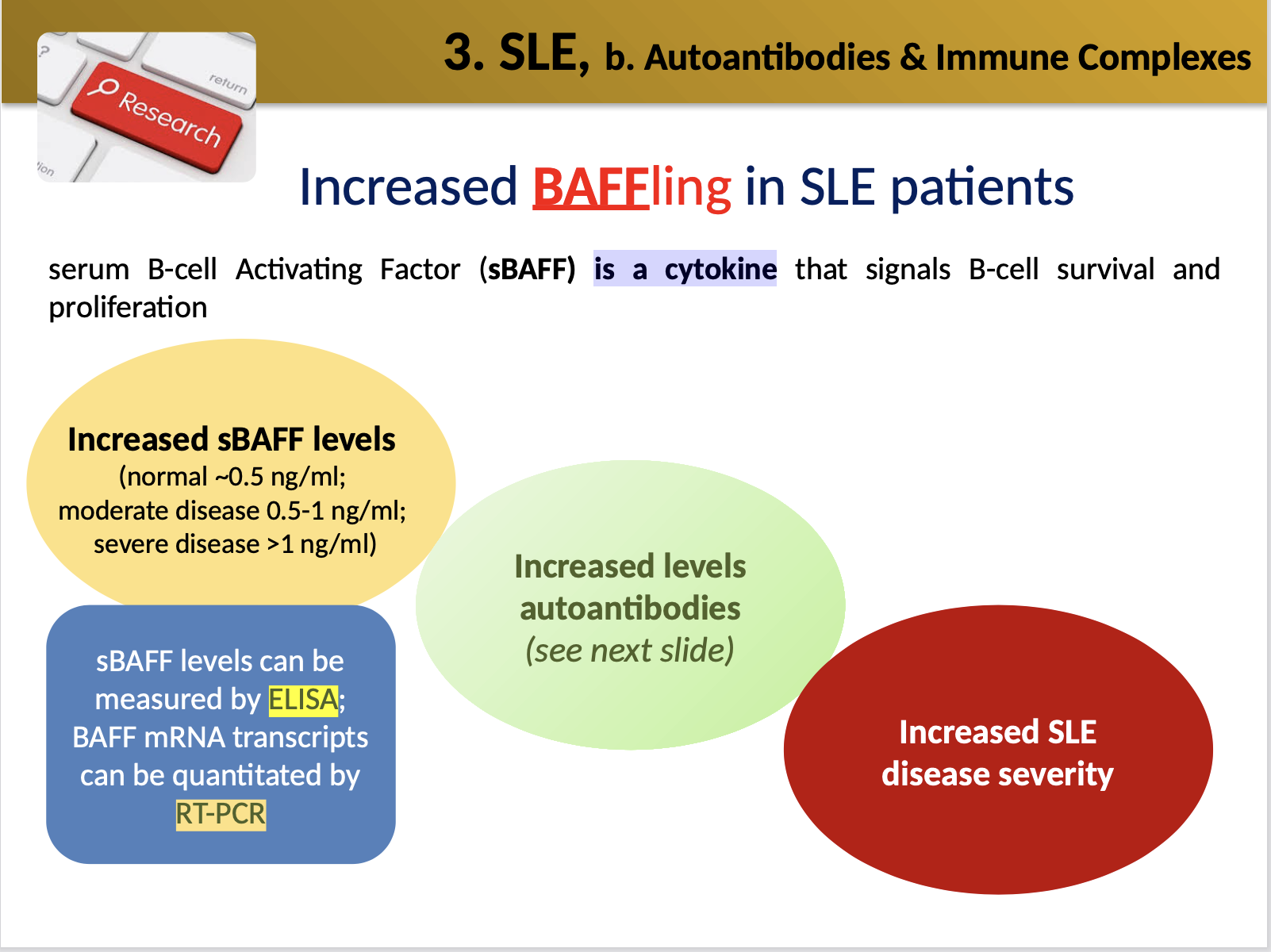 <p>sBAFF is a soluble B-cell activating factor, which is a cytokine involved in B-cell survival and proliferation that may be elevated in SLE. </p>