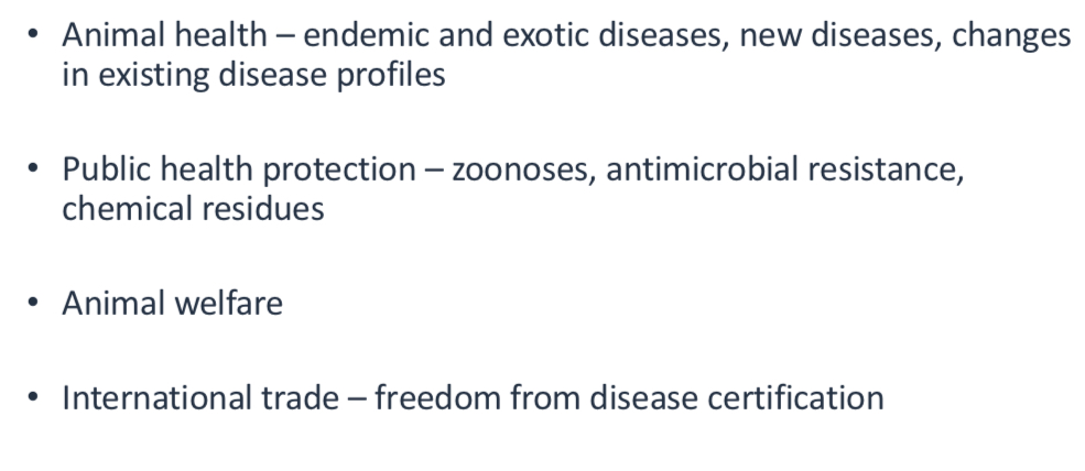 <img src="blob:null/50fbe2e2-dd37-4ff1-a96d-8a54e3beab5d"><p></p>