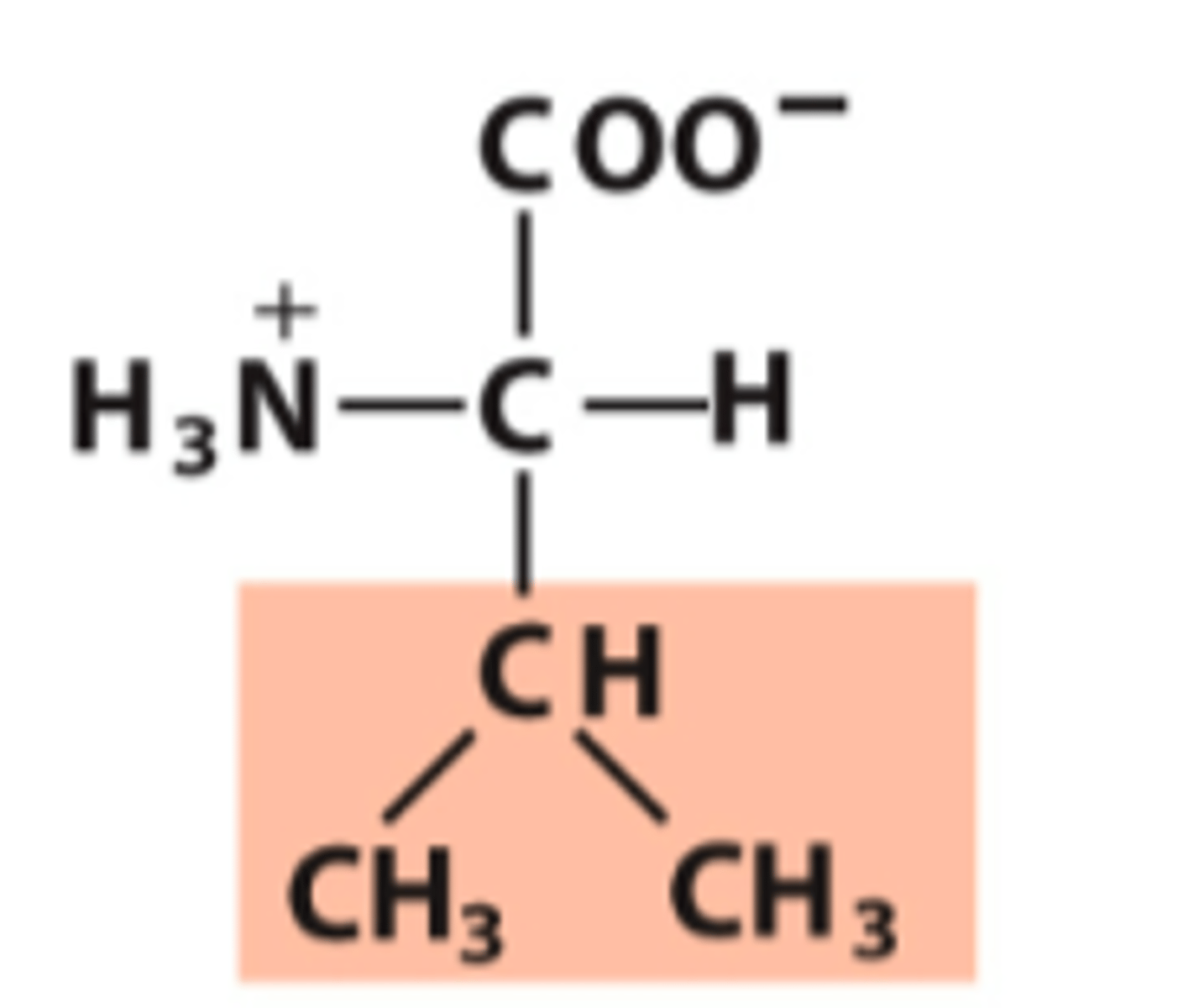 <p>What amino acid is this?</p>