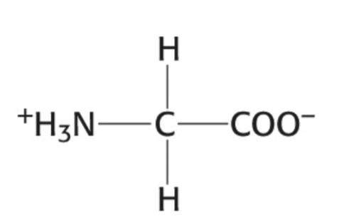 <p>Which amino acid is this</p>