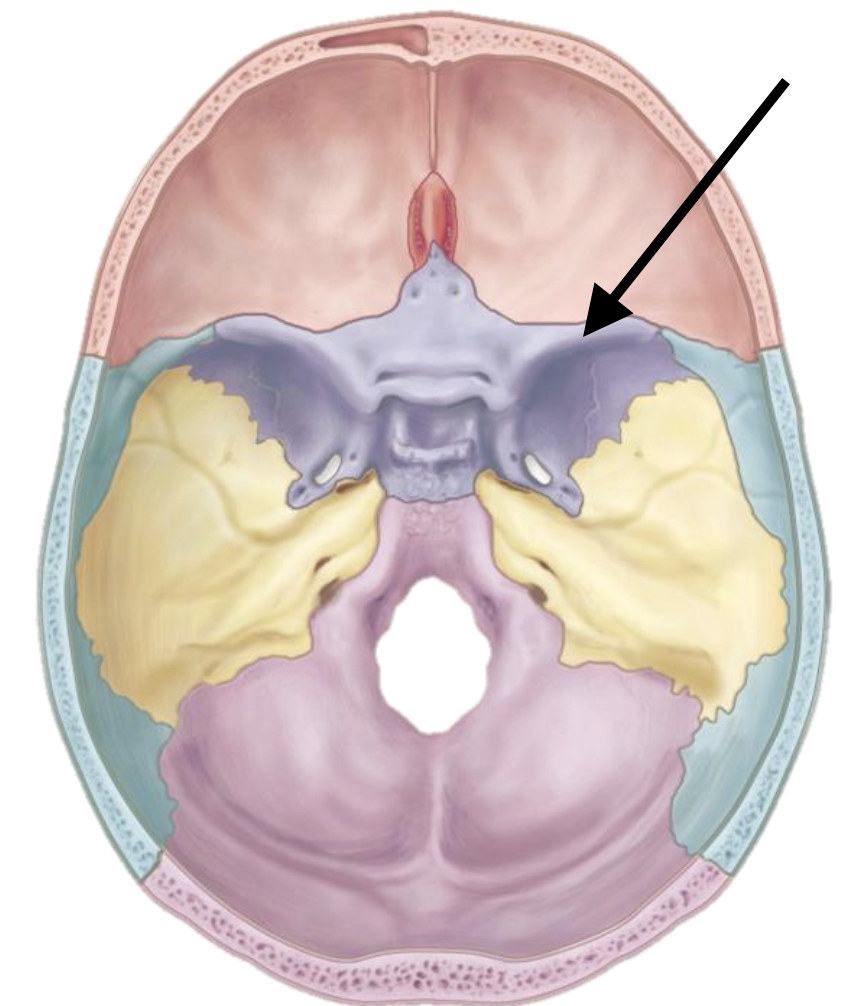 <p>Name the bone marking</p>