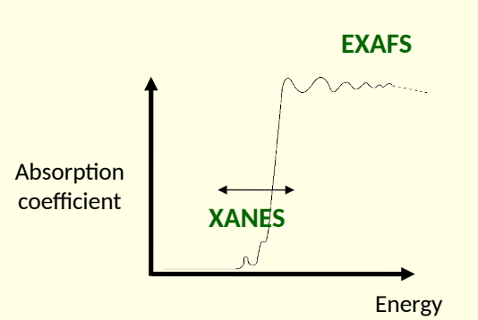 <p>why might additional peak be seen?</p>