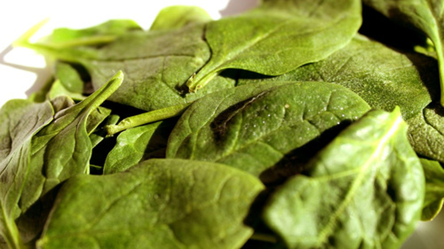 <p>spinach</p>