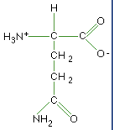 <p>What macromolecule is this?</p>