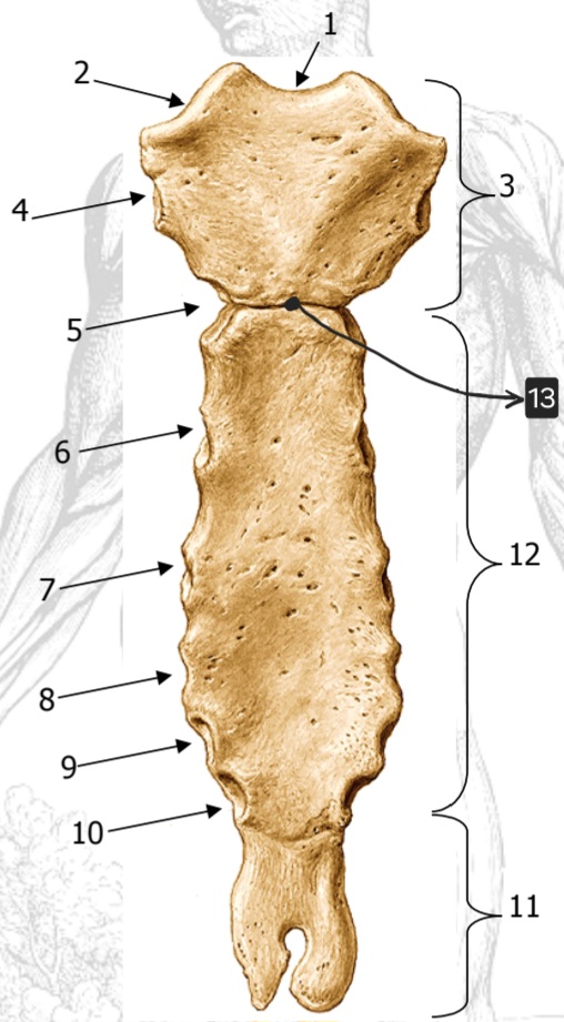 <p>3</p>