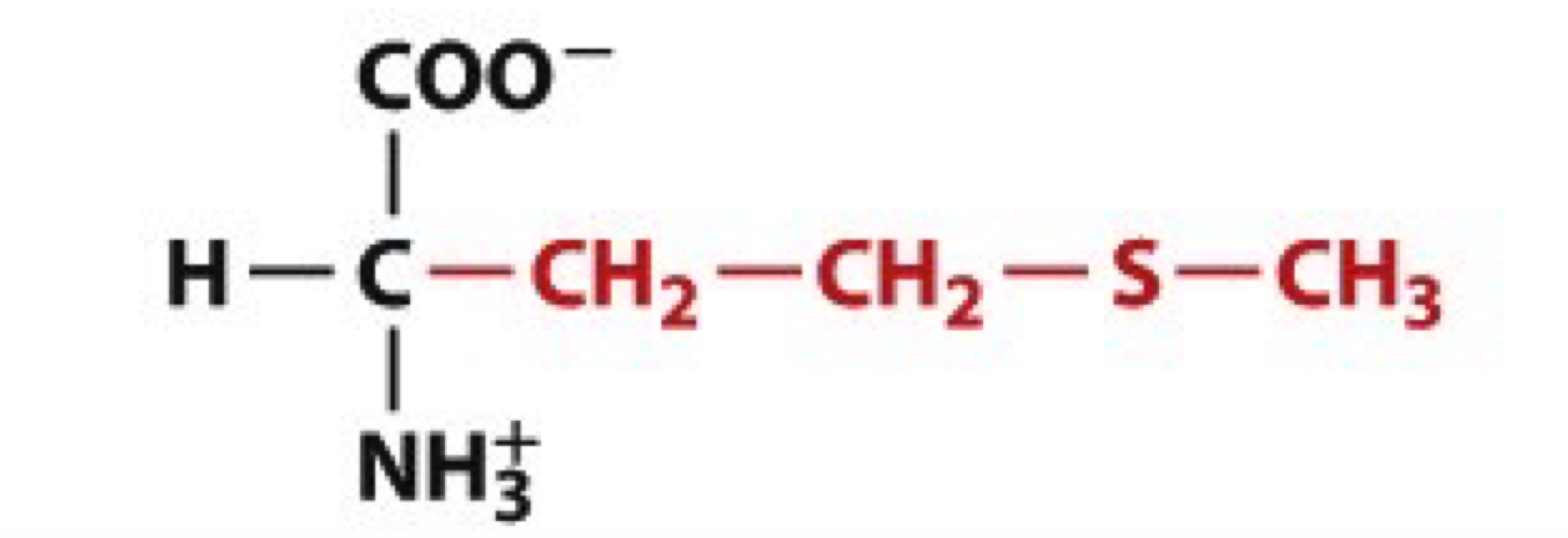 <ul><li><p>Met, M</p></li><li><p>non-polar</p></li></ul><p></p>