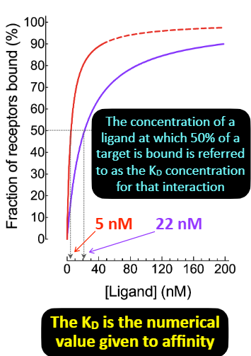 <p>——— describes the tightness of binding. </p><p>The affinity of a ligand to a particular protein can be quantified using a value called ——. It represents the concentration of a ligand at which 50% of target is bound. </p>