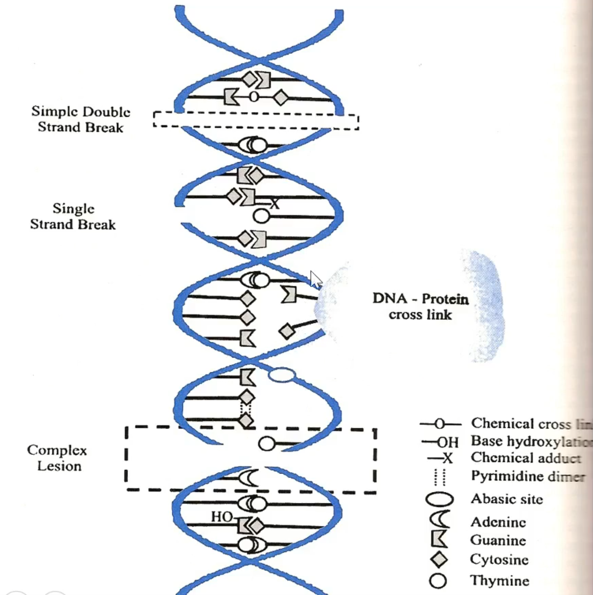 <p>what does this diagram display/represent?</p>