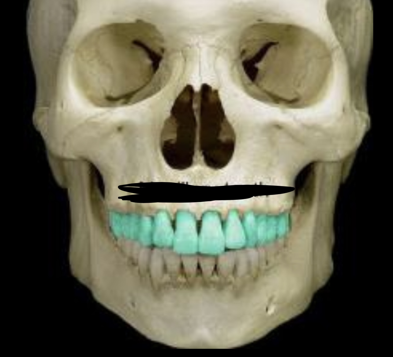 knowt flashcard image