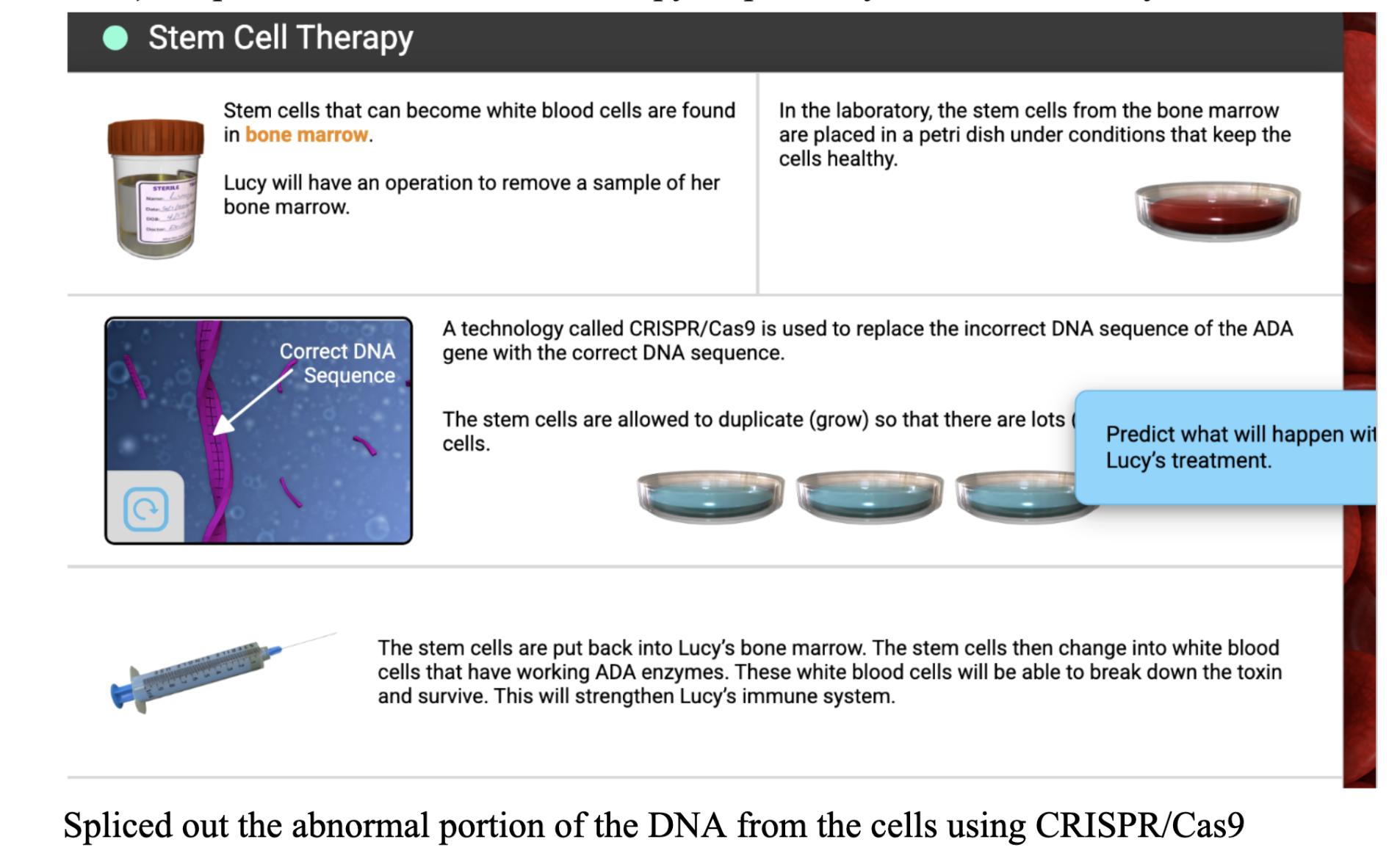 knowt flashcard image