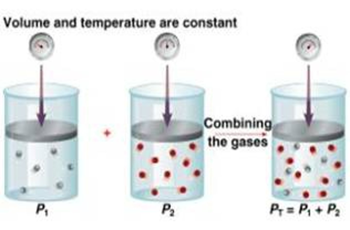 <p>the pressure of each gas in a mixture; Ptotal = P1+P2+... (applies for constant temperature and volume)</p>