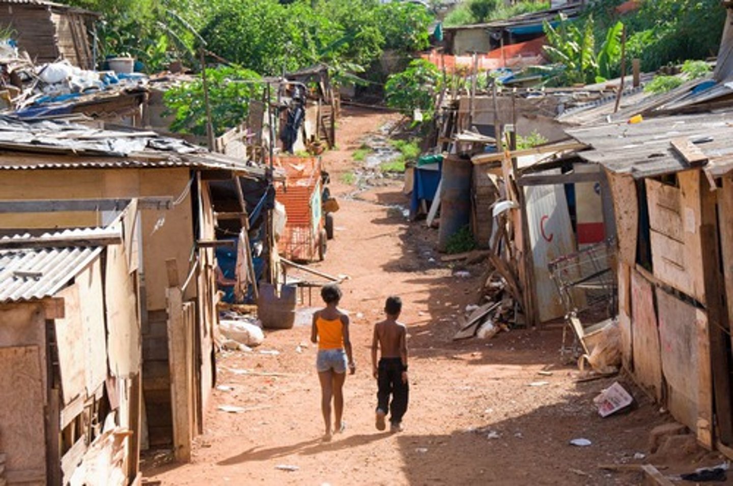 <p>the Brazilian equivalent of a shanty-town, which are generally found on the edge of the city</p>