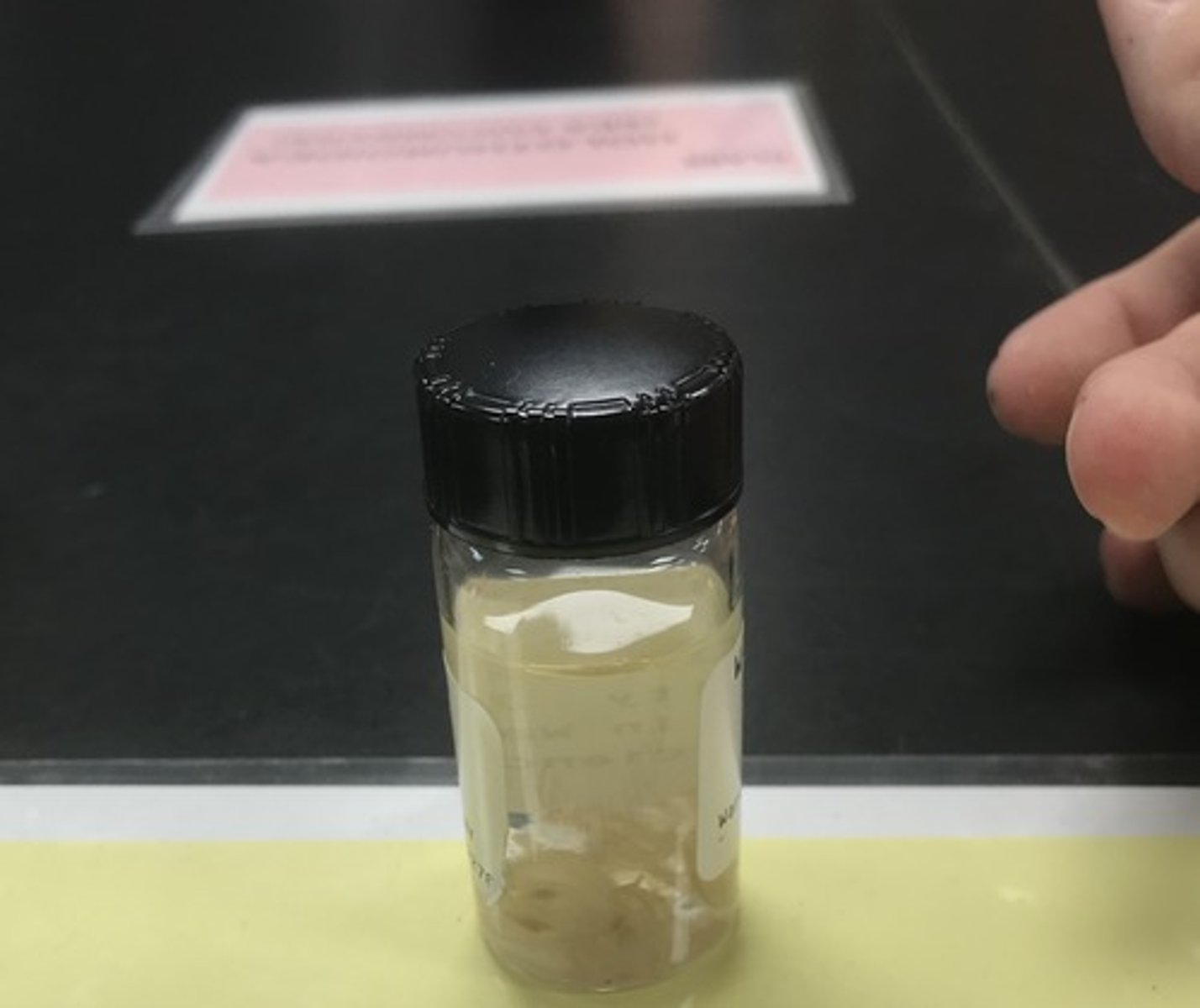 <p>For the following specimen(s), give the entire taxonomy and the name of the specimen(s)</p>