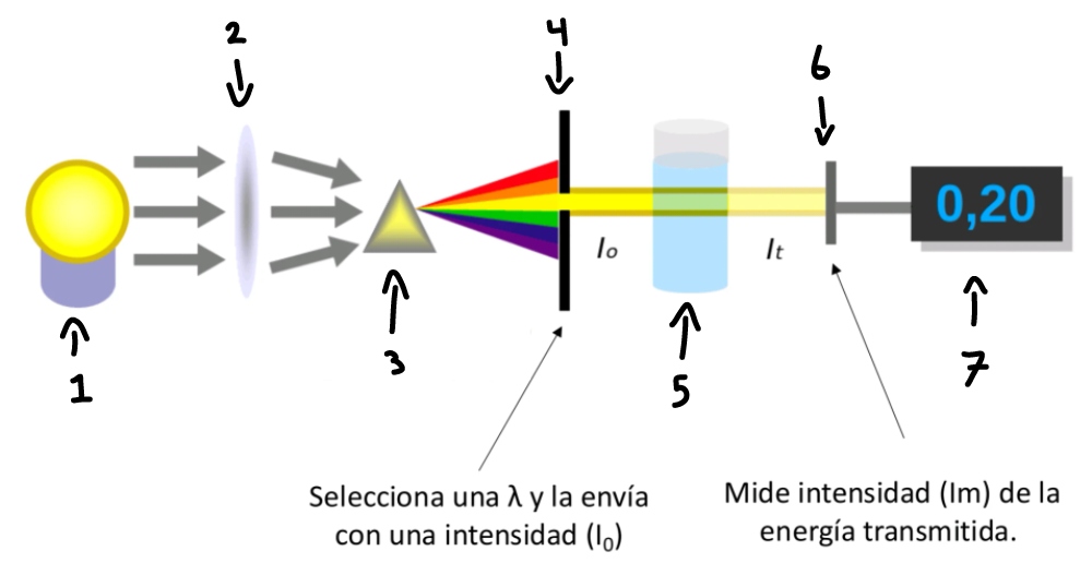 term image