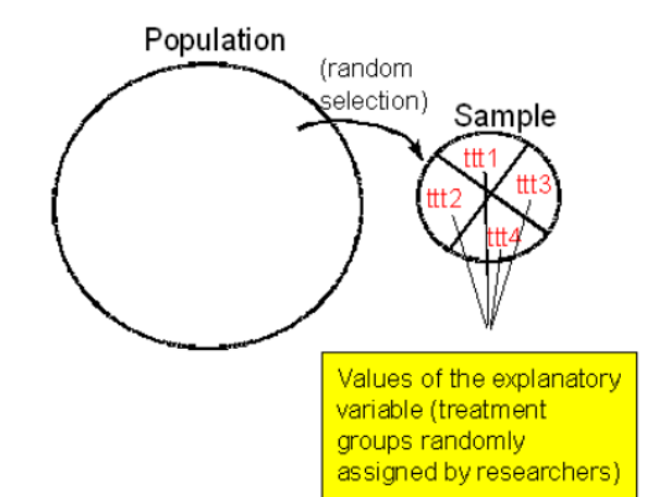 <p>As a method of experimental control has been extensively used in human clinical trials and other biological experiments. </p><p>It prevents the selection bias and insures against the accidental bias. </p><p>It produces the comparable groups and eliminates the source of bias in treatment assignments.</p><p> Finally, it permits the use of probability theory to express the likelihood of chance as a source for the difference of end outcome</p>