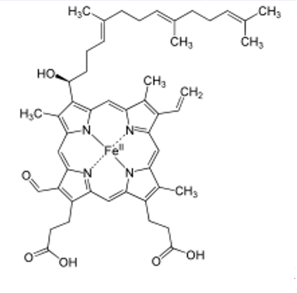 <p>Abbrev: Heme</p><p class="is-empty is-editor-empty has-focus">Group Transfer: Electrons </p><p class="is-empty is-editor-empty has-focus">Vitamin: n/a</p>