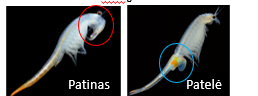 <img src="https://knowt-user-attachments.s3.amazonaws.com/b1e4c315-0504-4530-a05b-7c1338e3e886.jpg" data-width="100%" data-align="center" alt="knowt flashcard image"><p></p>