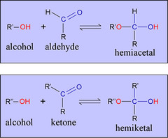 <ul><li><p>The oxygen in the alcohol functions as a nucleophile, attacking the carbonyl carbon, and generating a hemiacetal.</p></li><li><p>Hemiacetals are unstable and the hydroxyl group is rapidly protonated and lost as water under acidic conditions, leaving behind a reactive carbocation.</p></li></ul>