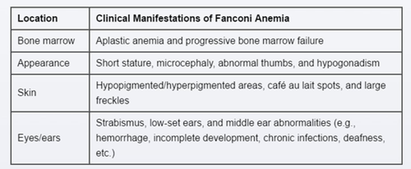 <p>Autosomal recessive disorder</p><ul><li><p>congenital marrow failure</p></li><li><p>poor growth</p></li><li><p>Short Statures, abnormal Thumbs & Forearm</p></li><li><p>Low set ears</p></li><li><p>Cafe-au-lait spots</p></li><li><p>macrocytic, Aplastic Anemia</p></li></ul><p></p>