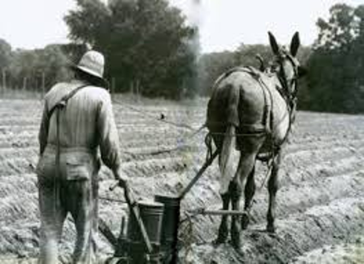 <p>1865 as Sherman moved through the south he issues a grant of 40 acres of farmable land (GA + SC) and a surplus mule to freed slaves in an attempt to solve the problems of refugees. But Johnson's Amnesty Proclamation and widespread pardons undid most of this by 1866.</p>