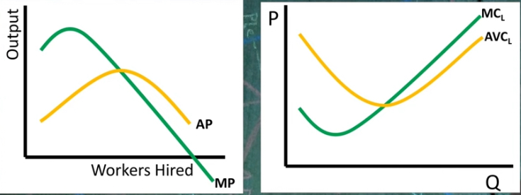 <p>rise = MC<sub>L</sub> falls&nbsp;</p><p>falls = MC<sub>L</sub> rises</p><p>→ are just opposites of each other</p>
