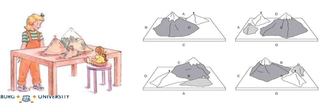 <p><strong>Three mountains test</strong>.</p><ul><li><p>“What does the doll see?” </p></li><li><p>Children receive 10 pictures with different views.</p></li></ul><p></p>