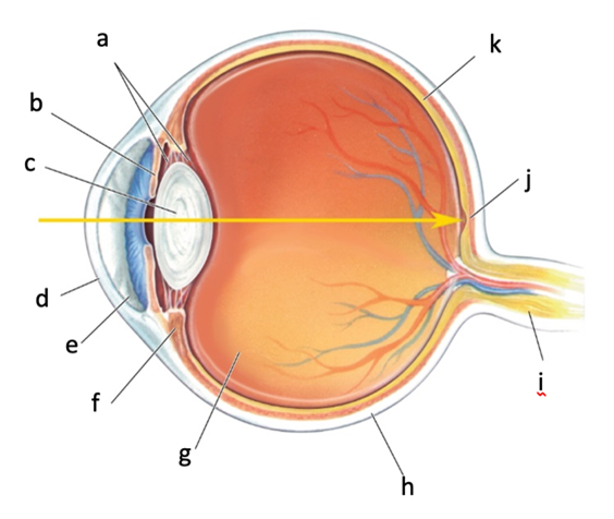 <p>Identify and describe k.</p>