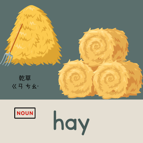 <p>hay</p>