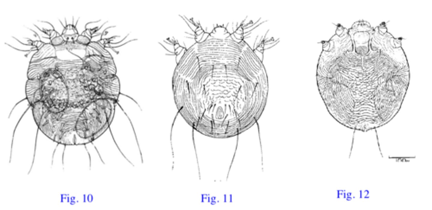 <p>Station 7:</p><p>Q4: Name the other two organisms</p>