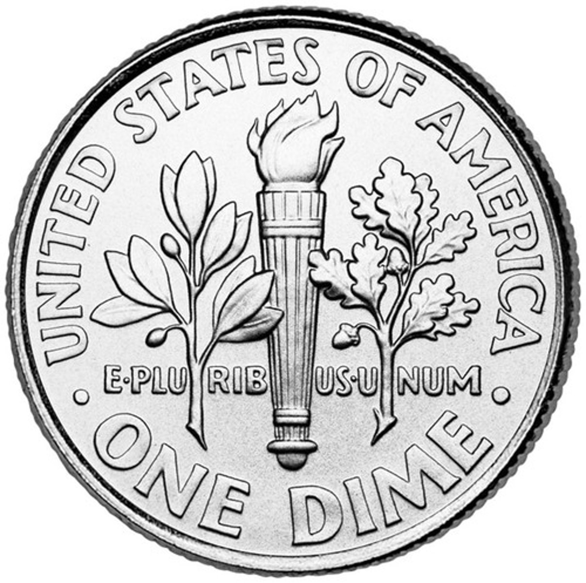 <p>Is about the thickness of a dime</p>