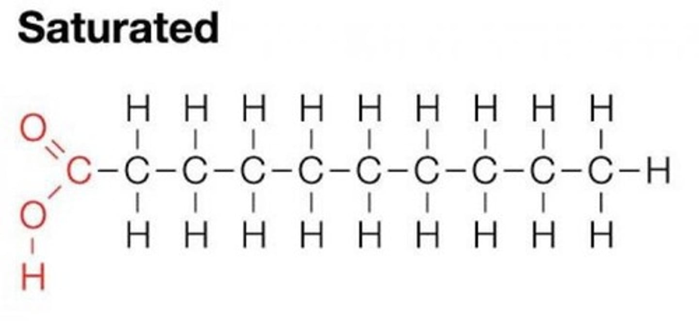 <p>Contain the maximum number of hydrogen atoms, solid at room temperature, and harder to digest.</p>