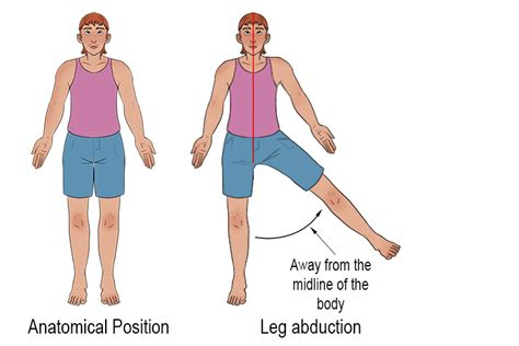 <p>Abduction is a movement away from the median plane/midline. Examples include:  </p><ul><li><p>Shoulder/Hip: Arm/leg moved laterally, away from the body</p></li><li><p>Wrist: In the anatomical position, the hand moves away from the body </p></li><li><p>Fingers/Toes: Spreading the digits away from the middle one</p></li></ul><p></p>