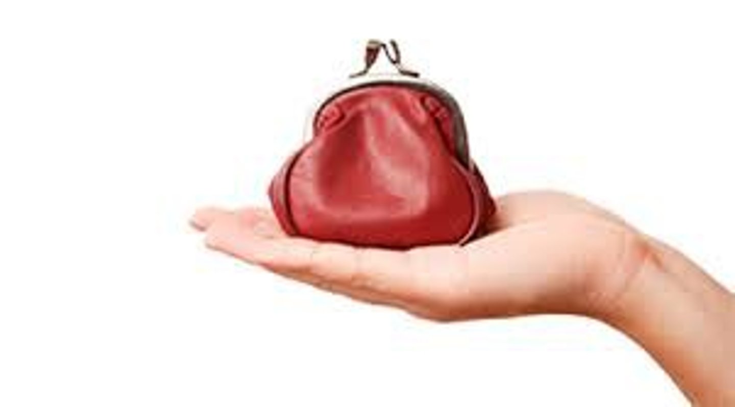 <p>algo que se puede comprar fácilmente con el dinero que tiene. (affordable)</p>