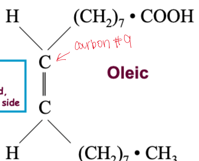 <p>most FA </p><p>orientation around C—C double bond</p><p>cis=same side</p>