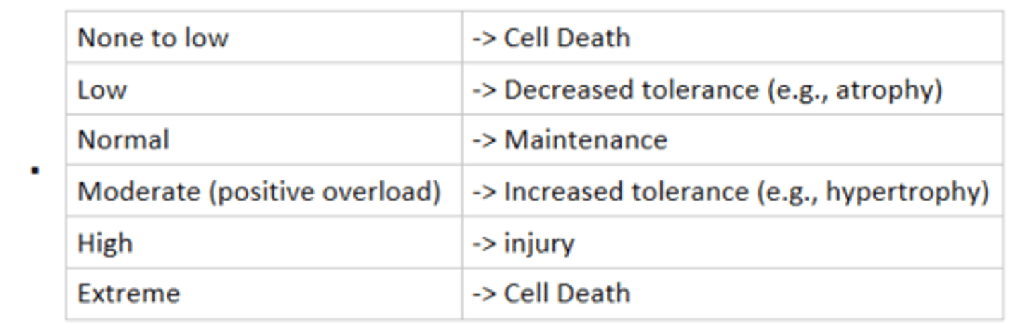 <p>describes how tissues react relative to the amount of stress they receive relative to normal</p>