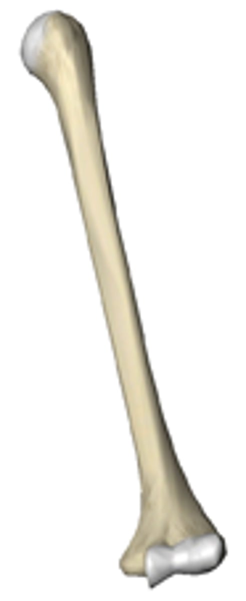 <p>right or left?</p>