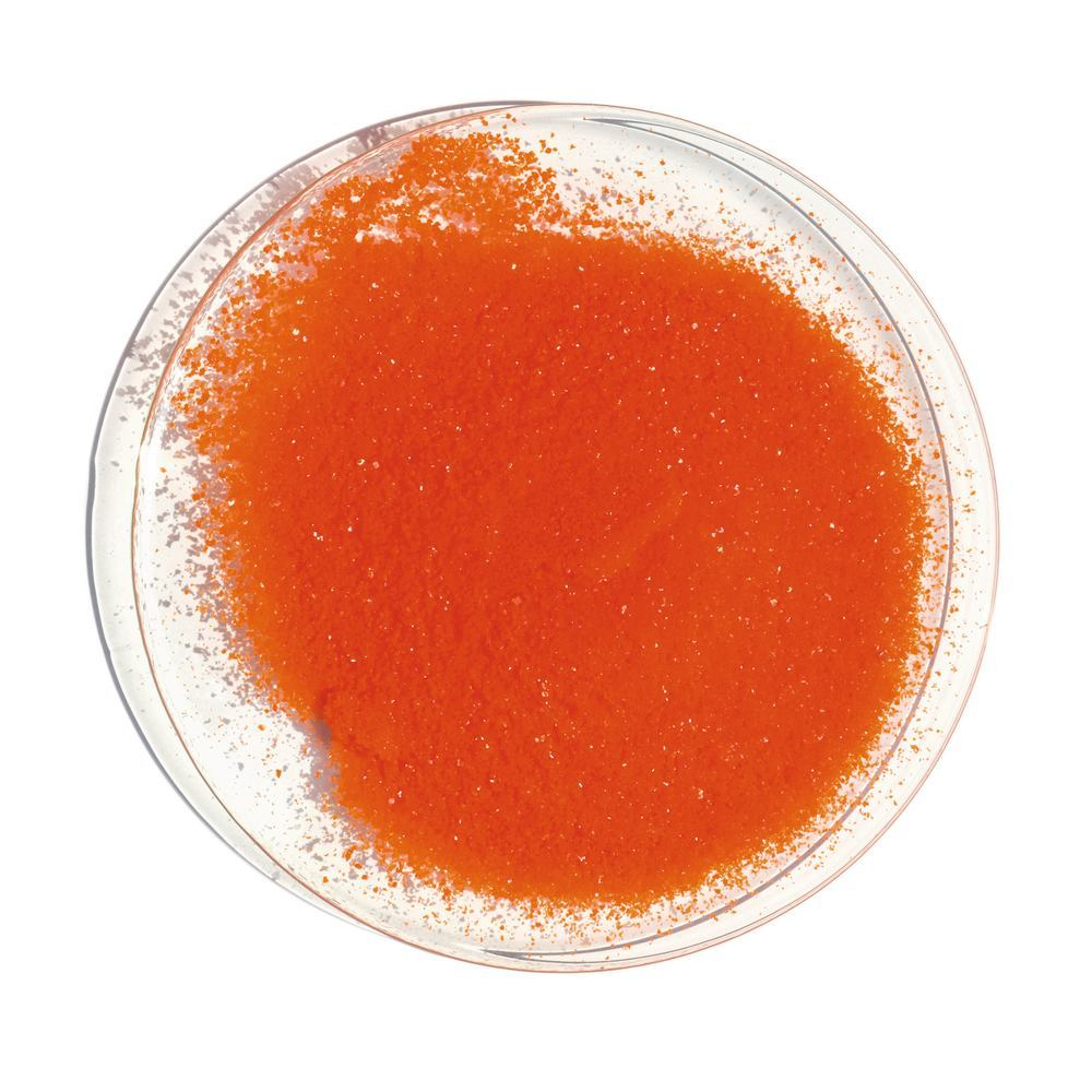 <p>bright orange </p>