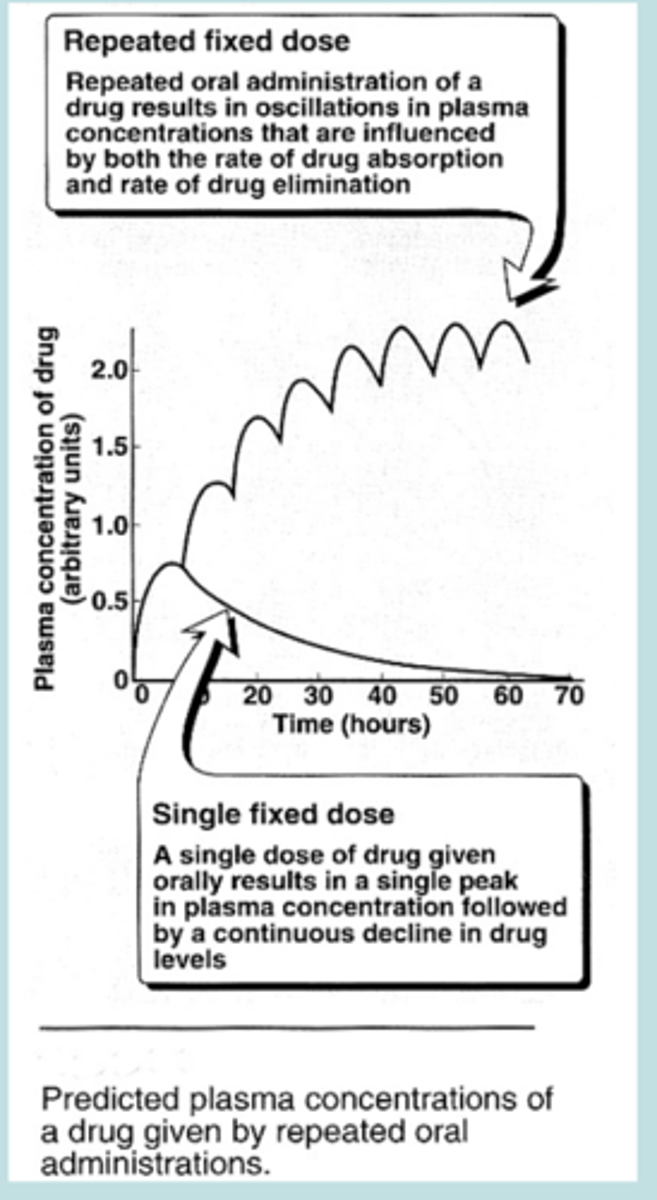 <p>Rate of drug elimination</p>