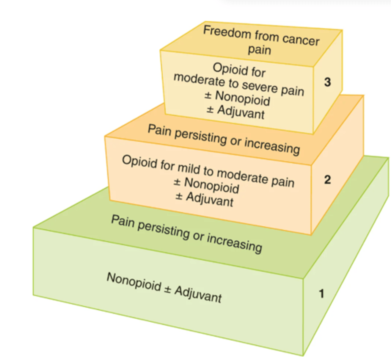 <p>- Step 1 medications are used for mild pain</p><p>- Step 2 for mild to moderate pain</p><p>- Step 3 for moderate to severe pain</p><p>*If pain persists or increases, medications from the next higher step are introduced to control the pain</p><p>*The steps are not meant to be sequential if someone has moderate to severe pain: for this person, the analgesics given would be the stronger analgesics listed in steps 2 and 3</p>