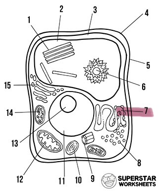 <p>What is the highlighted area called</p>