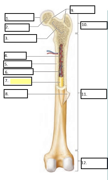 <p>7</p>