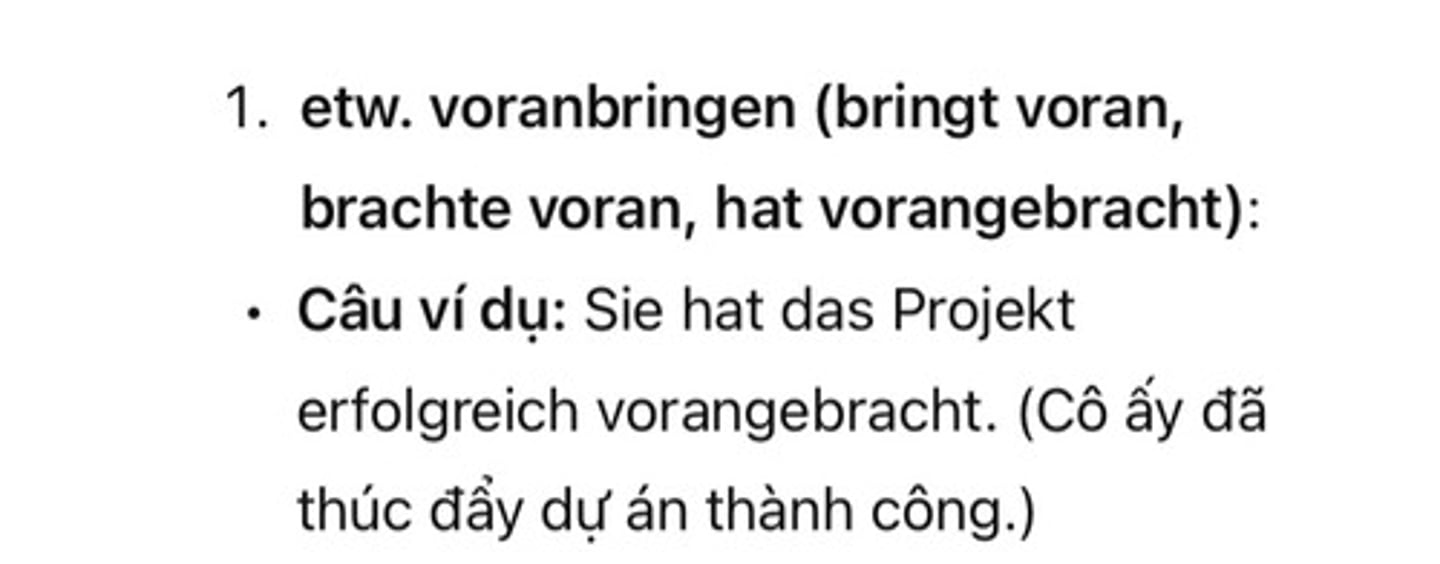 <p>etw. voranbringen</p>