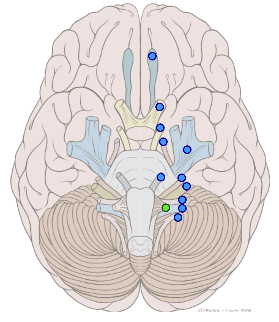 knowt flashcard image