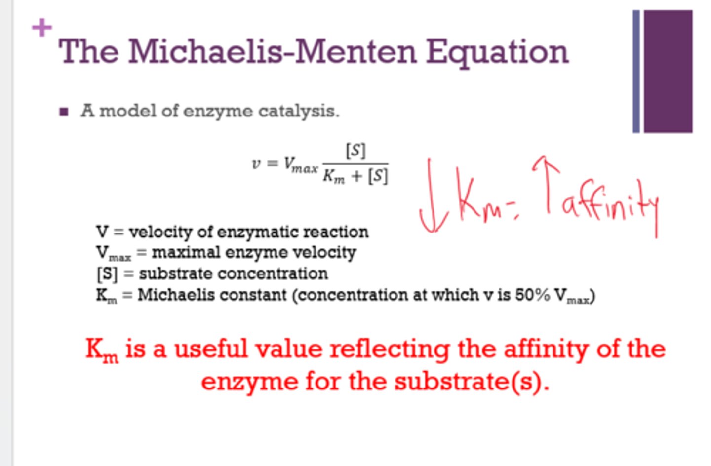 <p>- models enzyme catalysis</p><p>- calculates Km and Vmax</p>