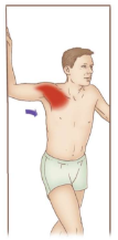 <p>This self-stretch for the right pecs stretches what specifically?</p>
