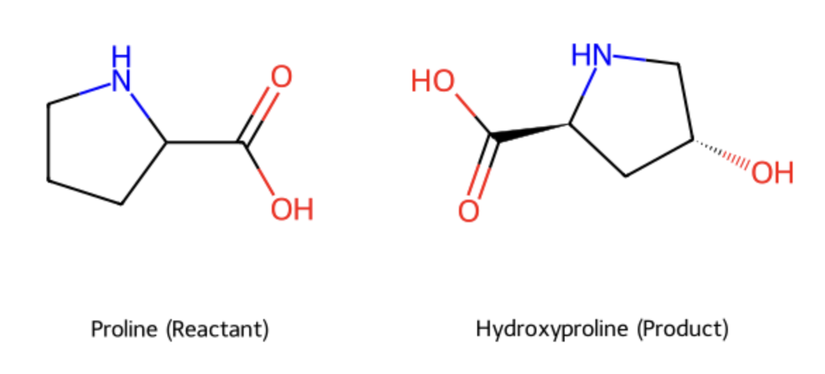 <ul><li><p>addition of an OH (hydroxyl group)</p></li></ul><ul><li><p>fibre stabilization: vital for collegen</p></li><li><p><span style="background-color: transparent;">associated with: Proline</span></p></li></ul><p></p>