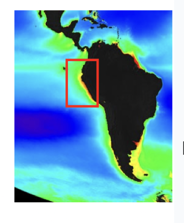 What happens to primary production in this area during El Nino

* increases
* decreases
* remains the same 