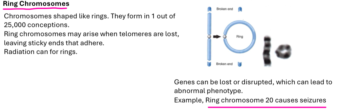 <p>Chromosomes shaped like rings that may arise when telomeres are lost and leave sticky ends that adhere together, leading to gene disruption.</p><p>Ring chromosome 20 causes seizures&nbsp;</p>