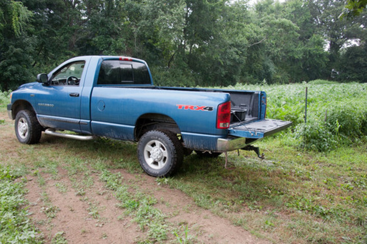 <p>SUV, truck</p>